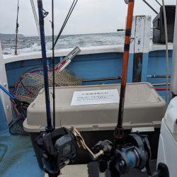 色々な魚種(サウス)