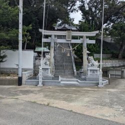 初落とし込み釣り