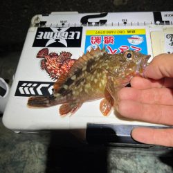 港湾ガシリング