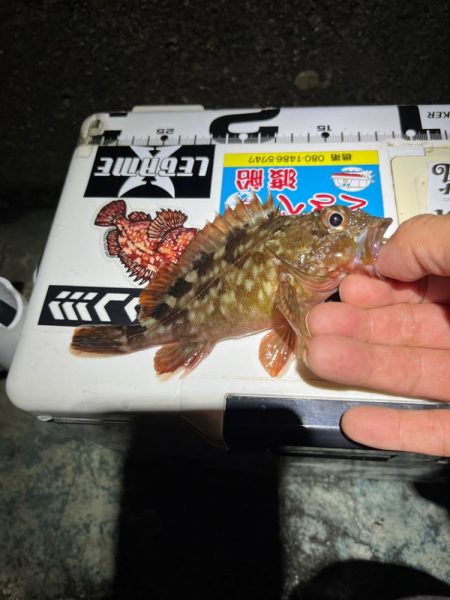 港湾ガシリング