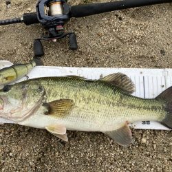 荒れた琵琶湖で巻きの釣り