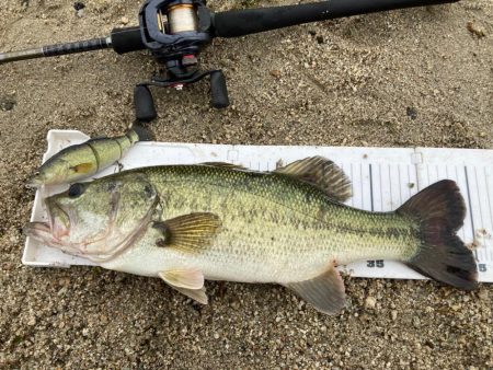 荒れた琵琶湖で巻きの釣り