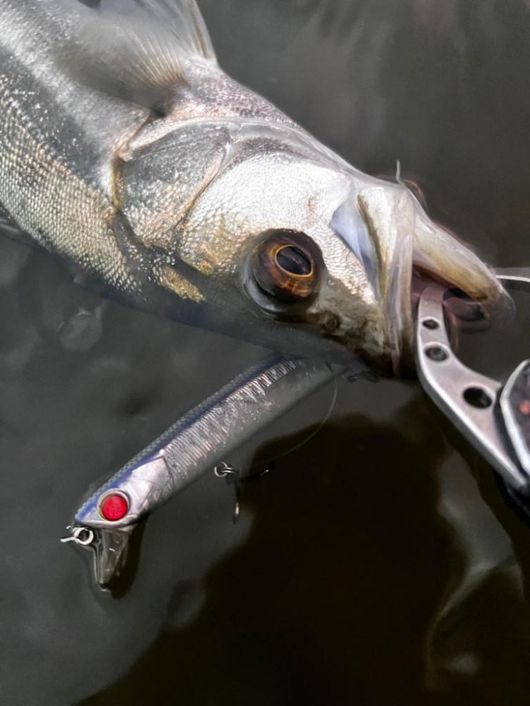 うぇーでぃんぐ