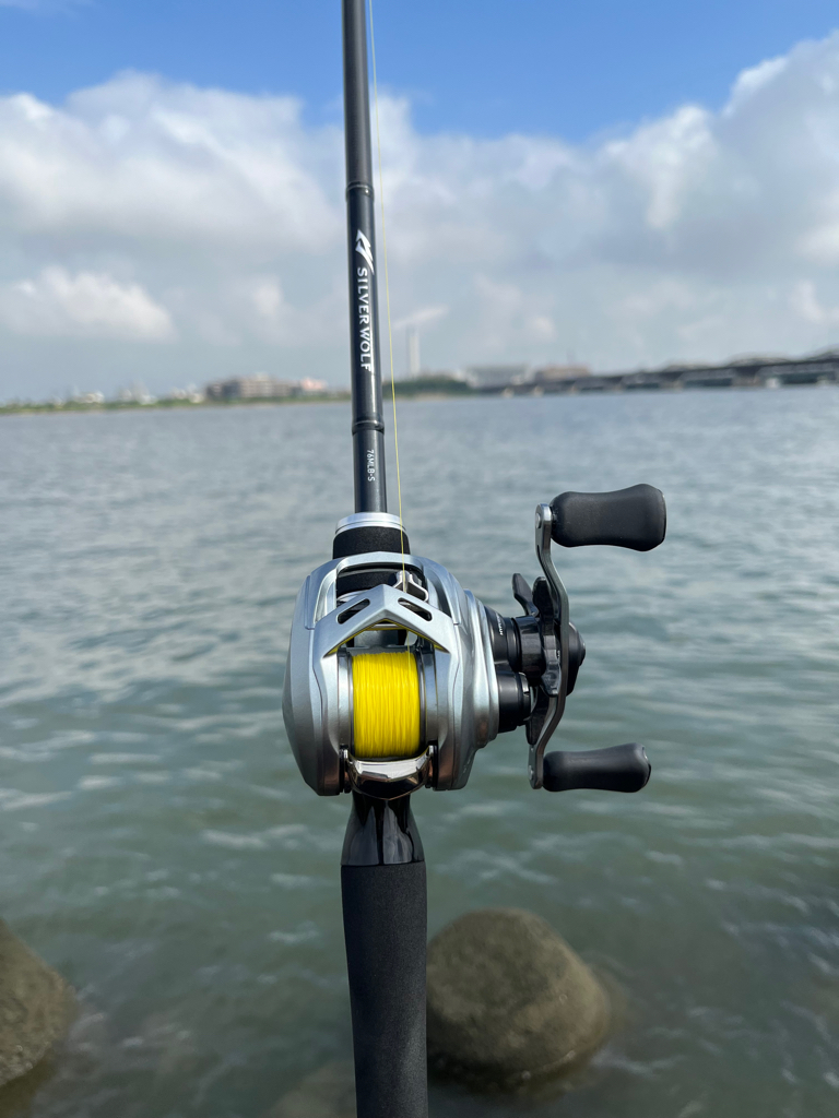 トップで釣れた?