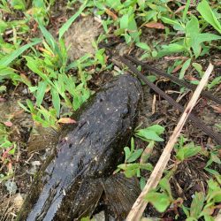 久々の投げ釣りへ