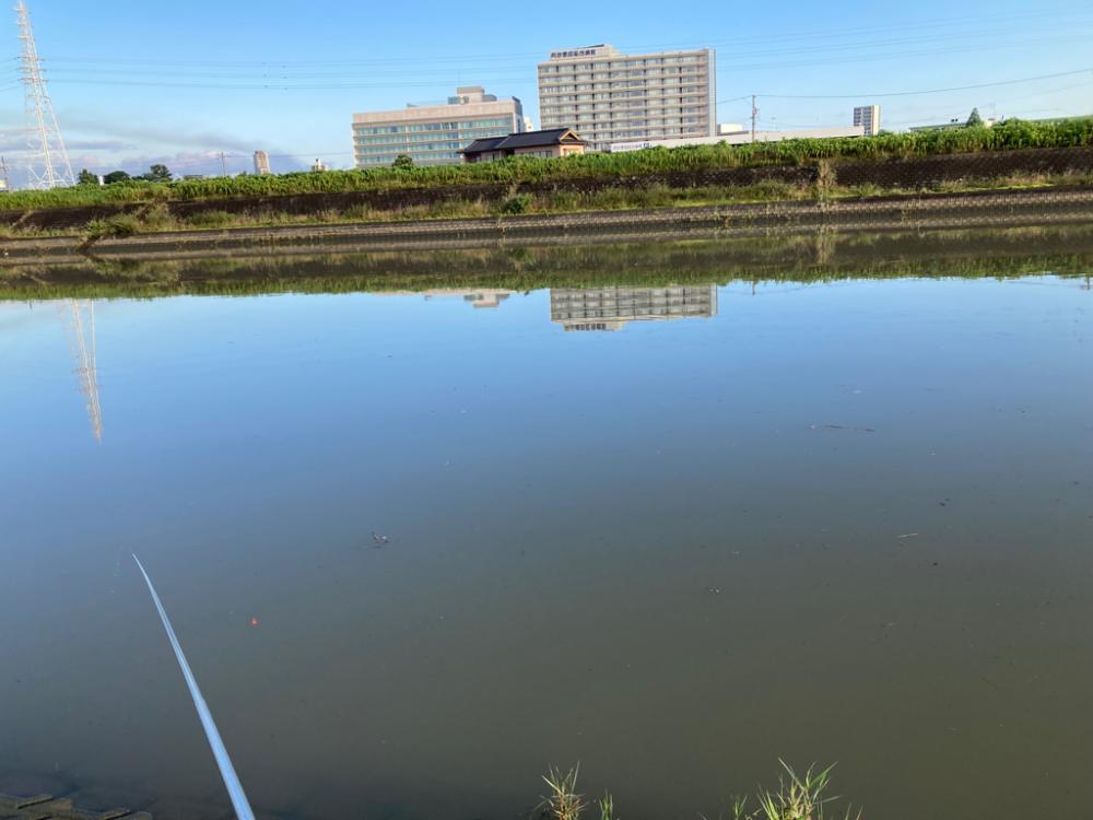 餌釣りでハゼとセイゴ