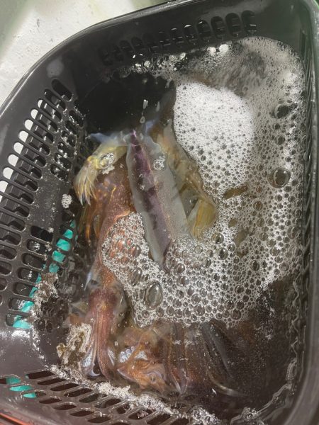 イカメタル&オモリグ