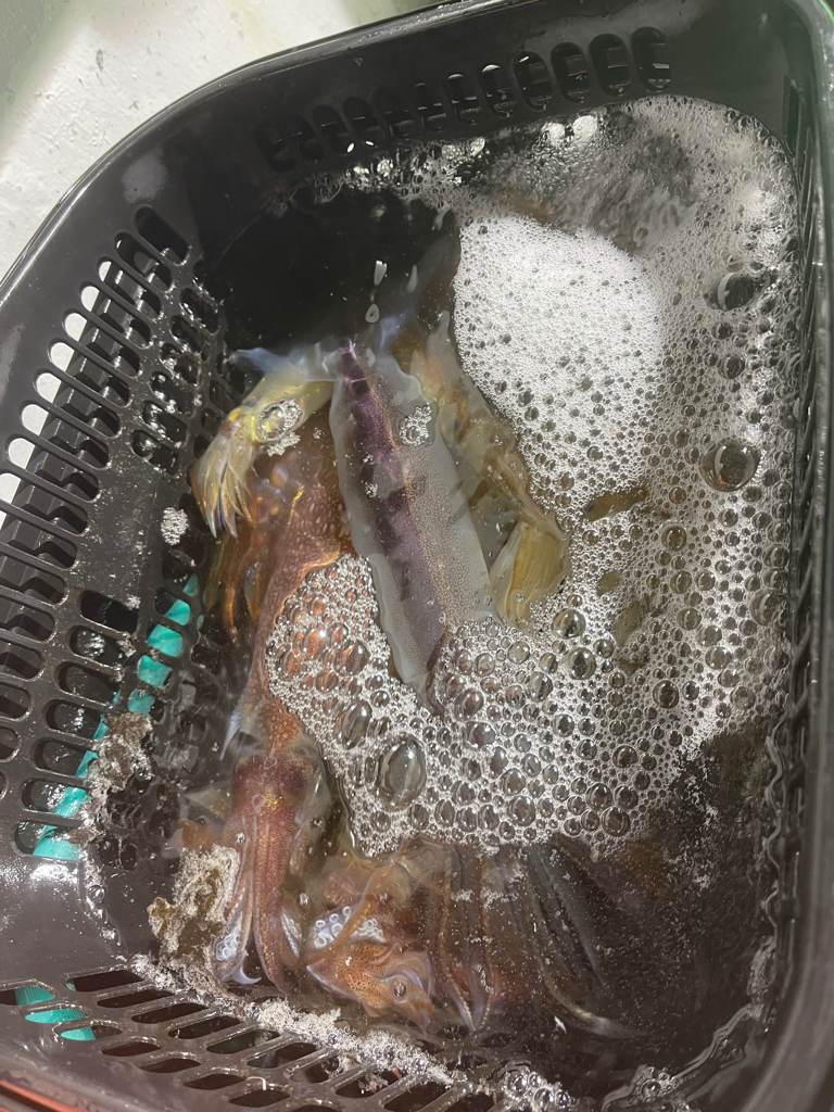 イカメタル&オモリグ