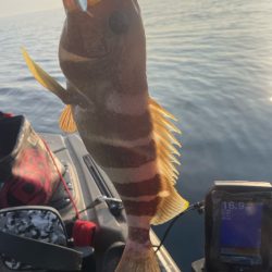 2023 佐渡ヶ島カヤックフィッシング 7月30日