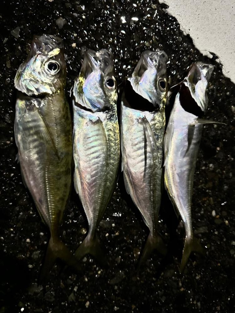 暴風フロートゲーム