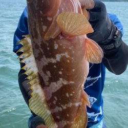 一つテンヤ当たり多っ！！