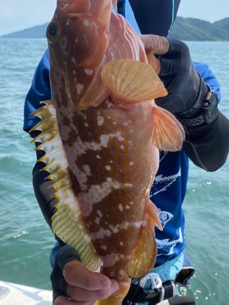 一つテンヤ当たり多っ！！