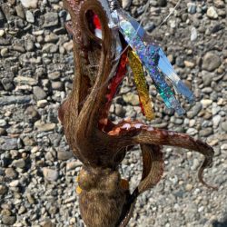 暑すぎるタコ！