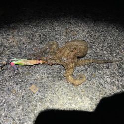 いい重みでした^_^