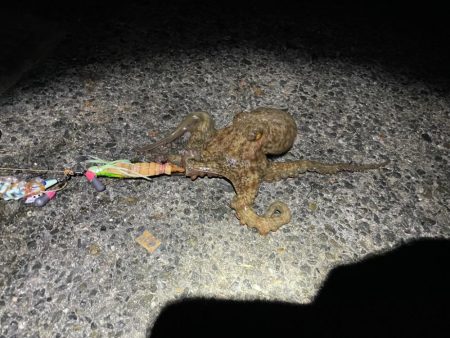 いい重みでした^_^