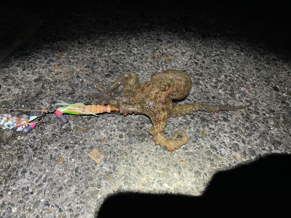 いい重みでした^_^