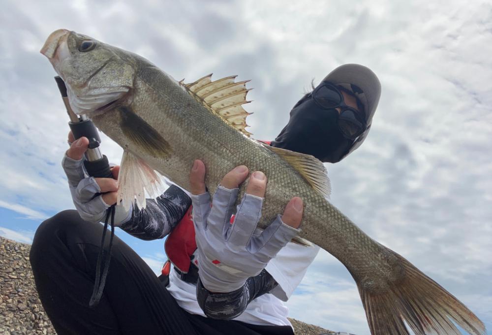 灼熱デイゲームでキャッチ❤️