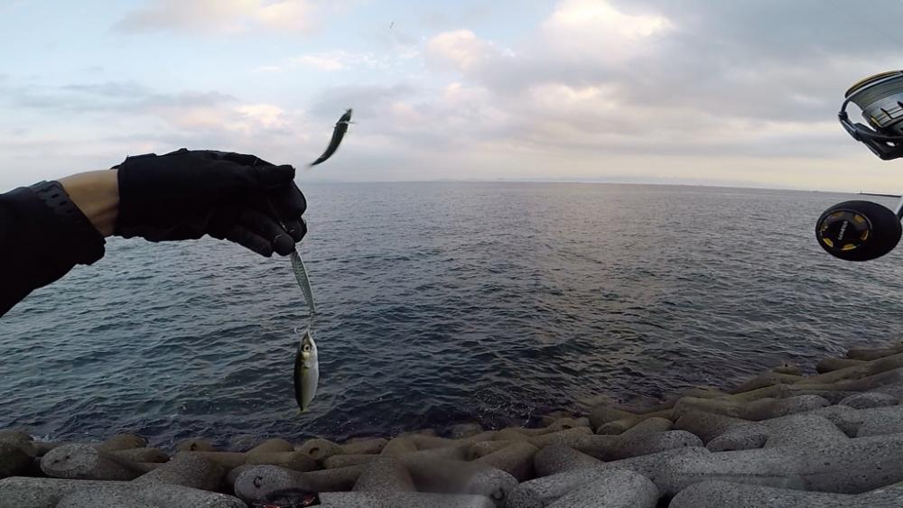 2023ライトゲーム第27戦