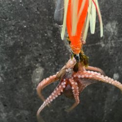 なかなか、難しい、、