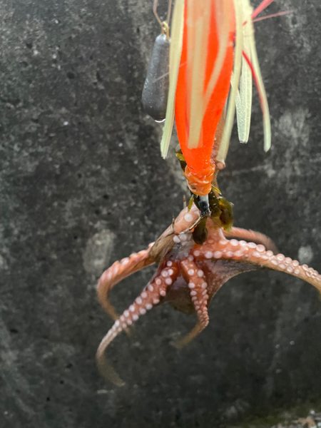 なかなか、難しい、、