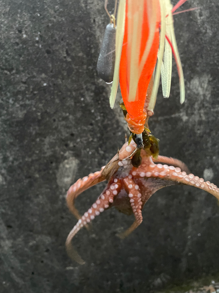 なかなか、難しい、、