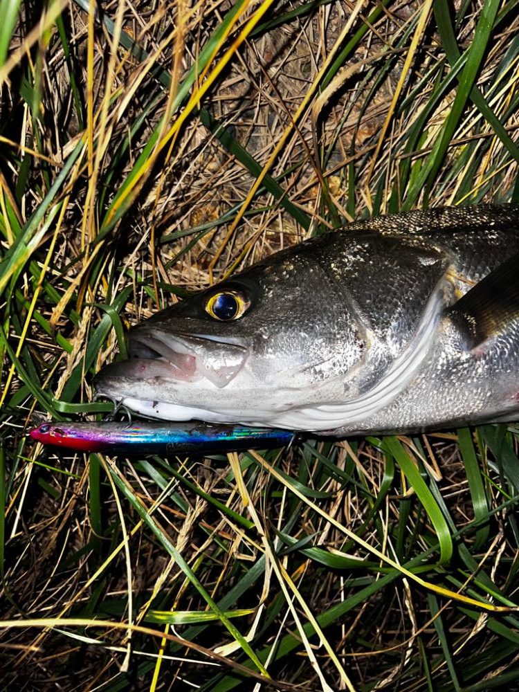 ブローウィン125Fの当たり日