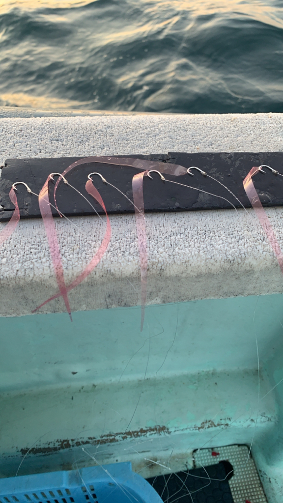 人生初の高仕掛けでの鯛釣り