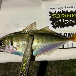 サイズアップならず！