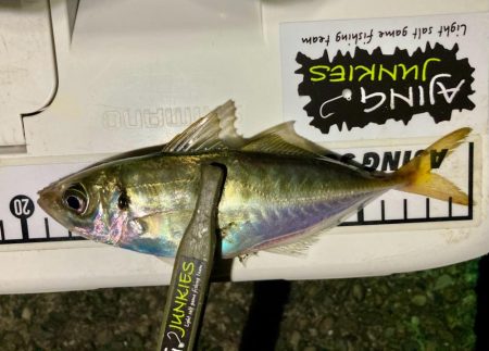 サイズアップならず！