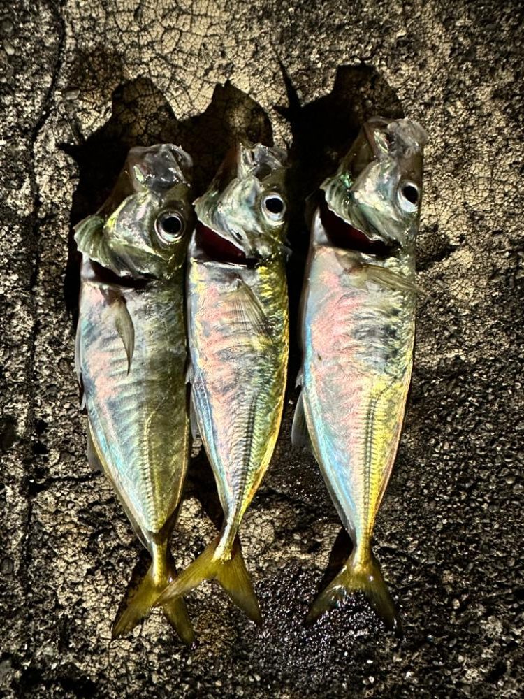 岬町フロートゲーム