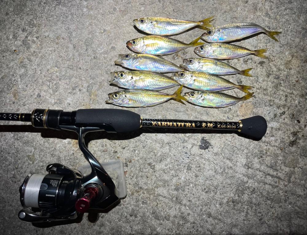 超お豆アジング