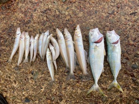 ちょい投げライトキスゲーム3