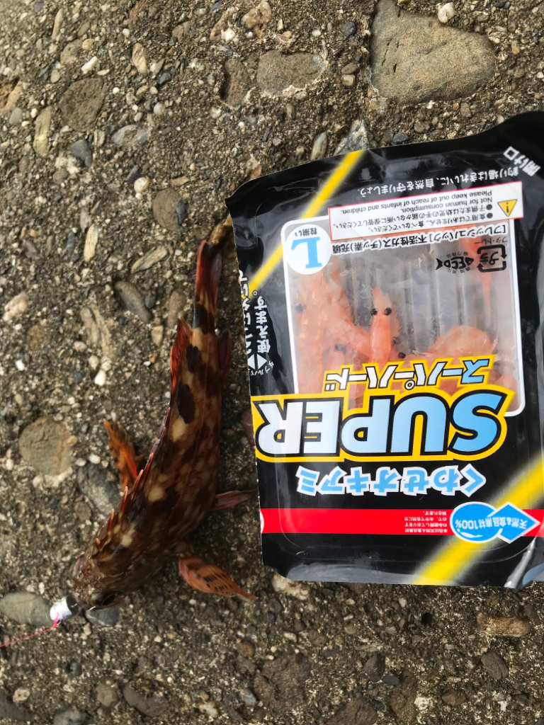 チョチョイのちょい