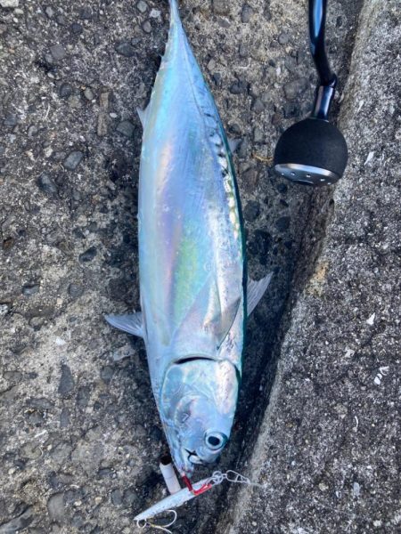 ジグザグカニ歩き釣法