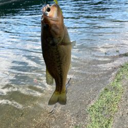 真夏の布目ダム