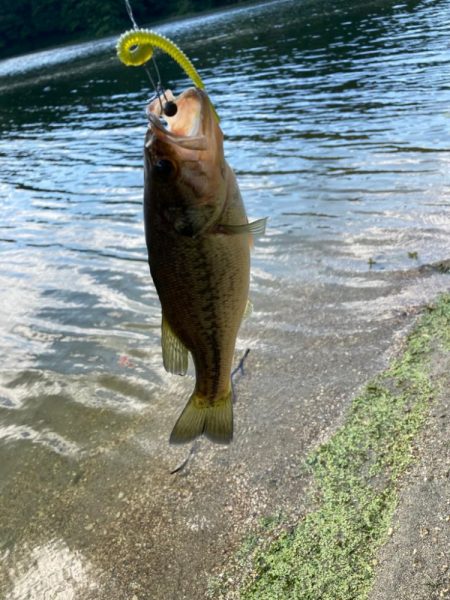 真夏の布目ダム