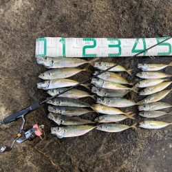 2023 佐渡ヶ島 ライトゲーム 7月17…