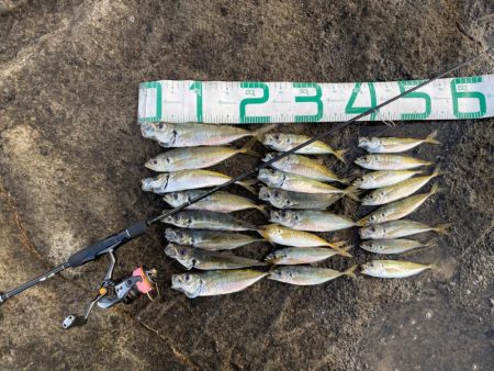 2023 佐渡ヶ島 ライトゲーム 7月17…