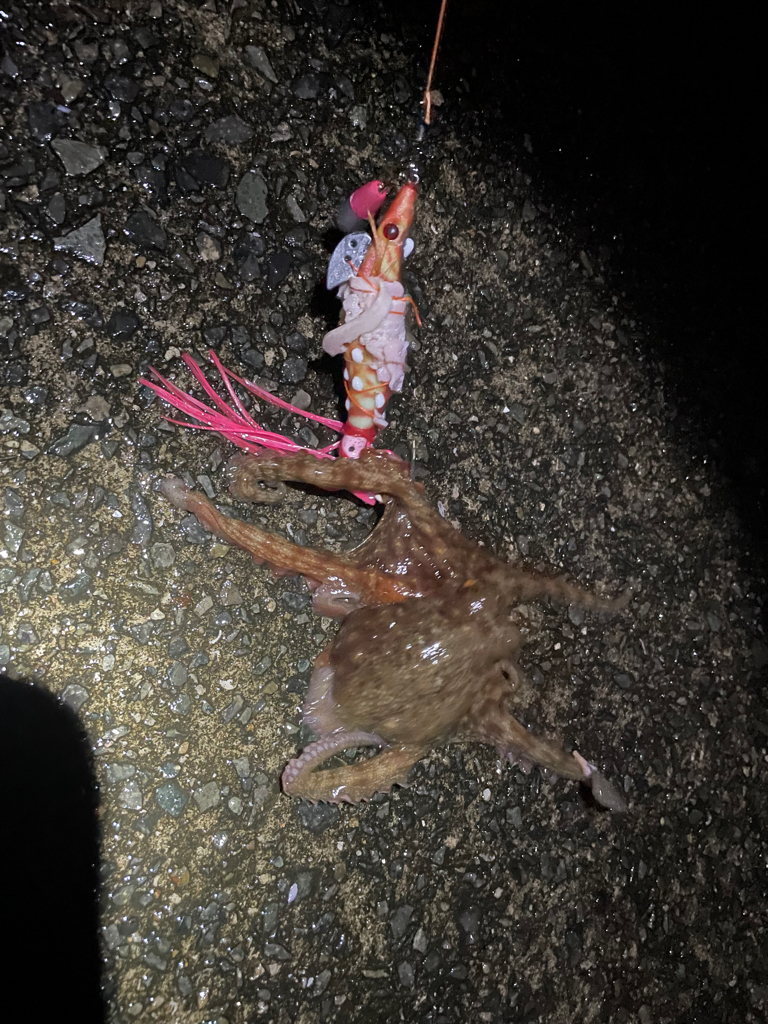 最近ハマってます