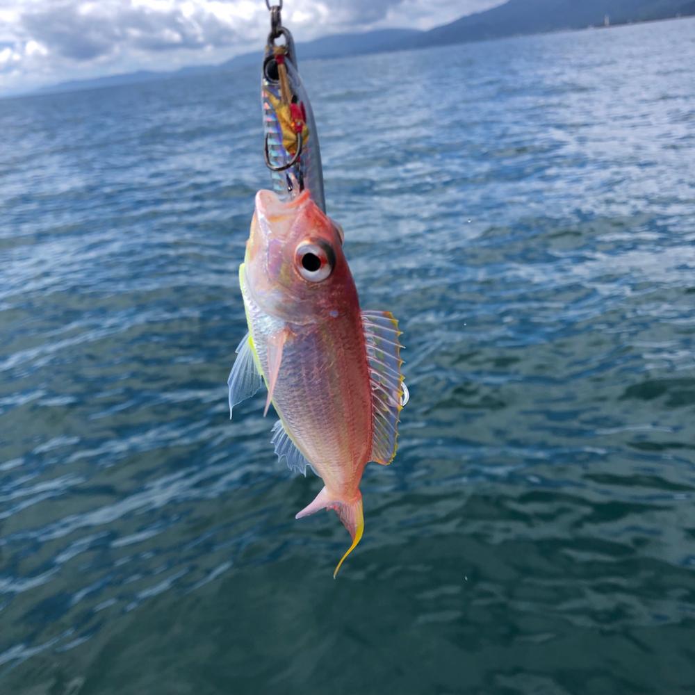 暑いけど熱くない釣行でした