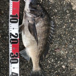 サバゲーのはずが