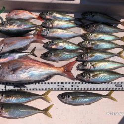 7/23 伊島沖　ジギング　ジグサビキ