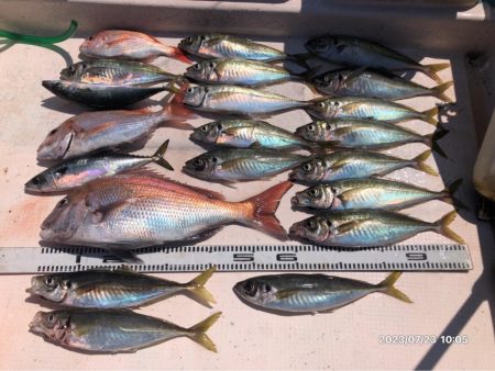 7/23 伊島沖　ジギング　ジグサビキ