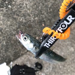 仕事終わりの遠出🚗（隣県へ…