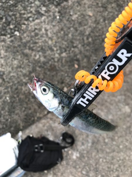 仕事終わりの遠出🚗（隣県へ…