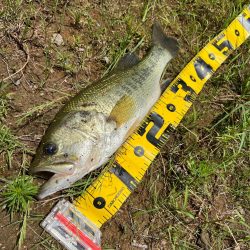 アーリーサマー🌻