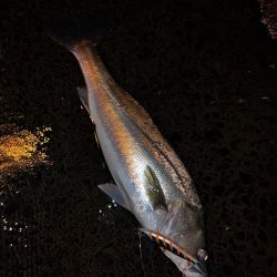 シンペンを縦に流すと。