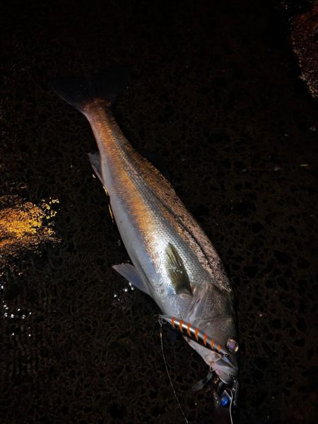 シンペンを縦に流すと。