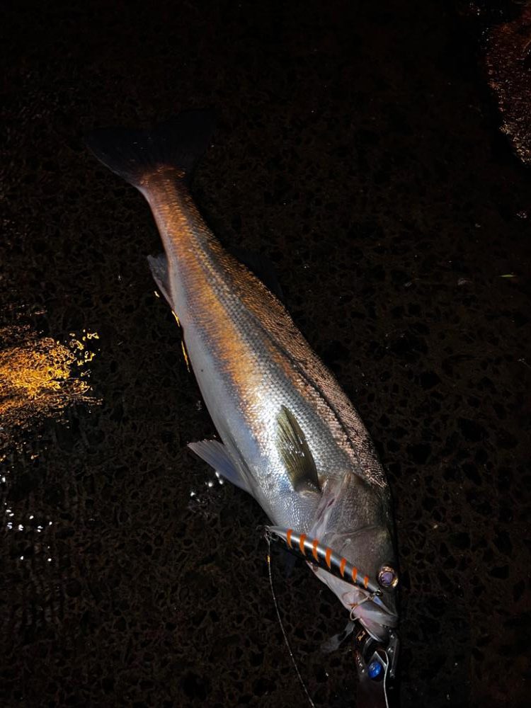 シンペンを縦に流すと。