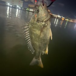 ホーム河川のウェーディング